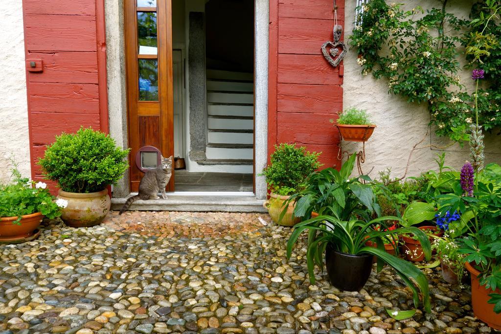 Bed & Breakfast Uvablu Panzió Trontano Kültér fotó