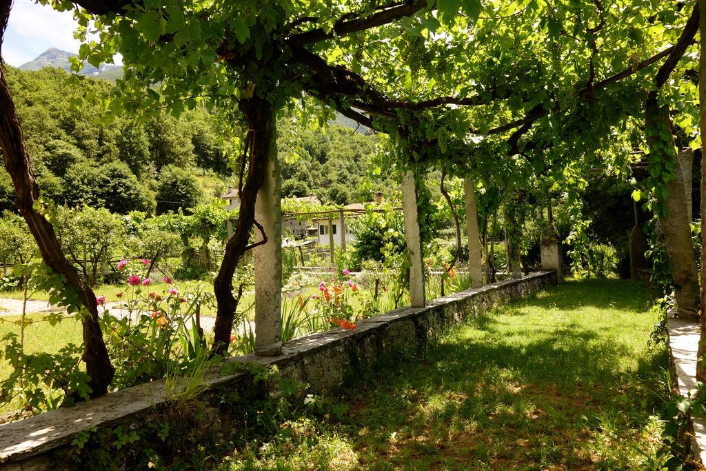 Bed & Breakfast Uvablu Panzió Trontano Kültér fotó